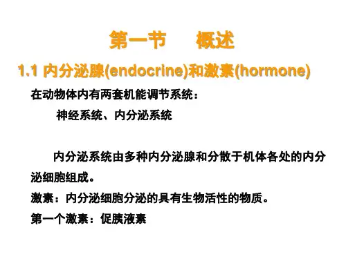 第十一章内分泌