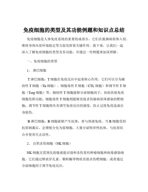 免疫细胞的类型及其功能例题和知识点总结