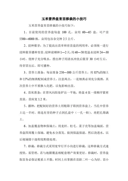 玉米营养盘育苗移栽的小技巧.doc