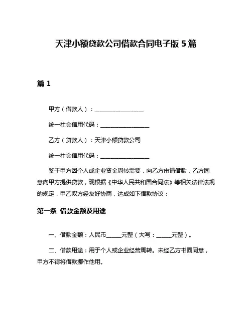 天津小额贷款公司借款合同电子版5篇
