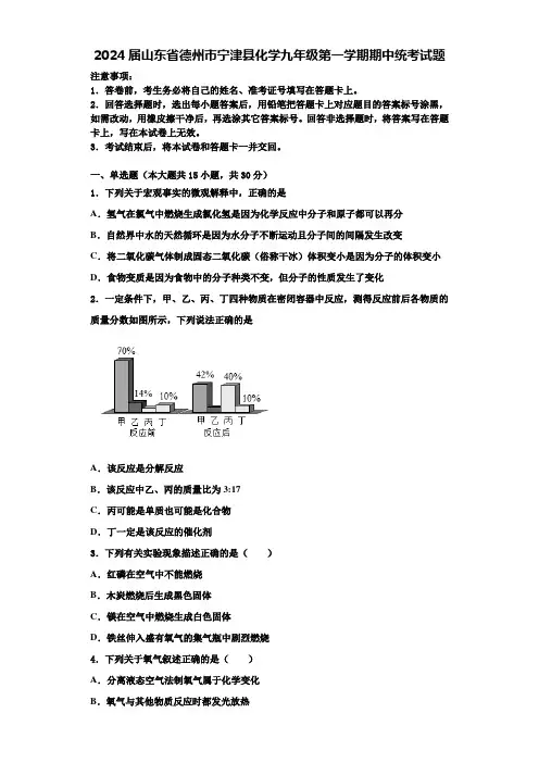 2024届山东省德州市宁津县化学九年级第一学期期中统考试题含解析