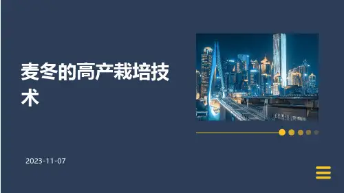 麦冬的高产栽培技术