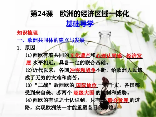 欧洲的经济区域一体化PPT教学课件