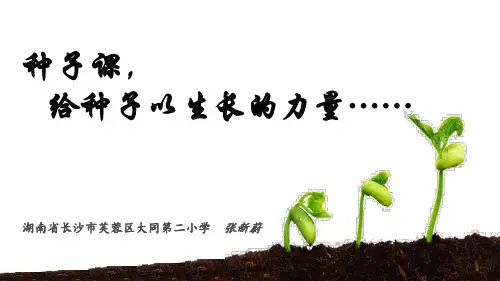 种子课给种子以生长的力量