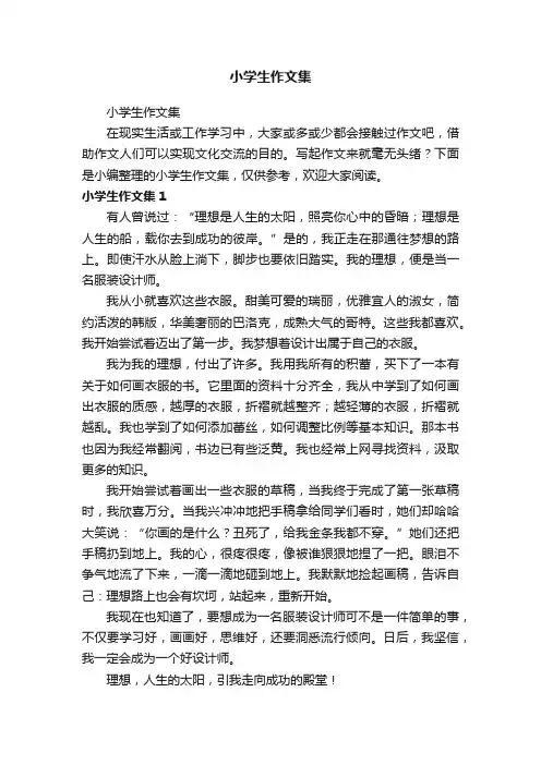 小学生作文集