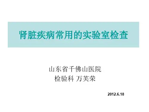 肾脏疾病常用的实验室检查