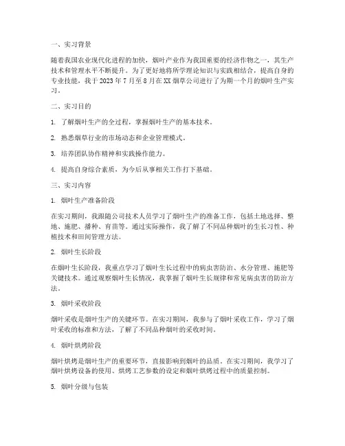 烟叶实习报告