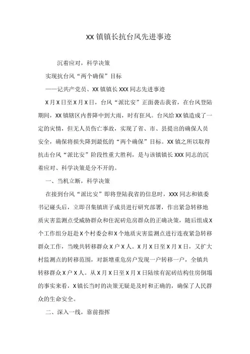 XX镇镇长抗台风先进事迹