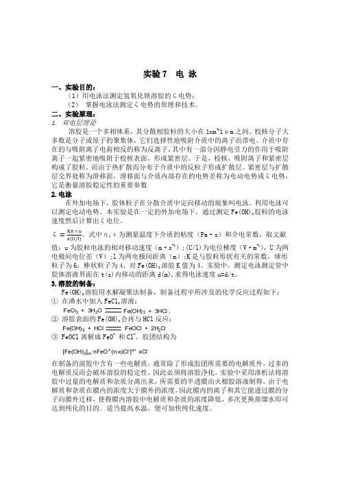 电 泳 实验