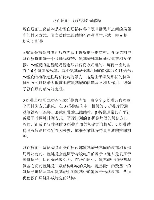 蛋白质的二级结构名词解释