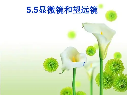 显微镜和望远镜精品PPT课件