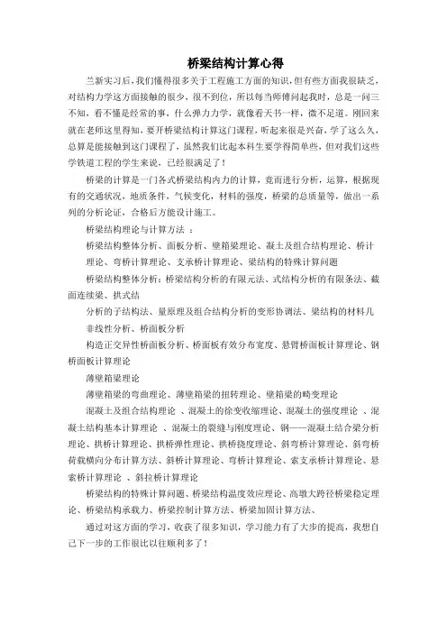 桥梁结构计算心得