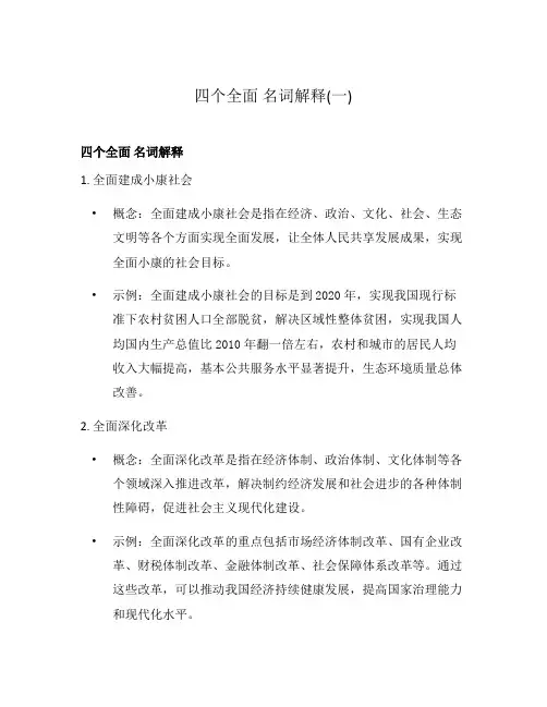 四个全面 名词解释(一)