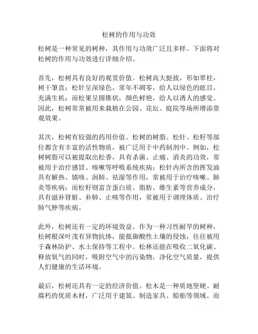 松树的作用与功效