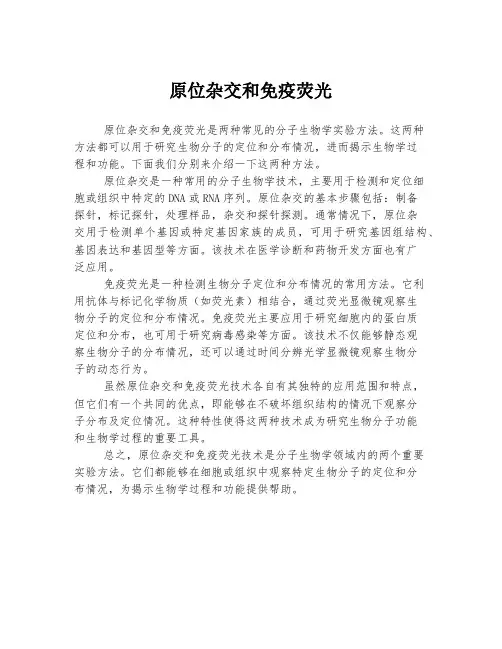 原位杂交和免疫荧光
