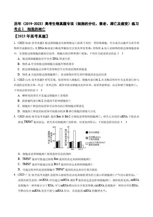 历年(2019-2023)高考生物真题专项(细胞的分化、衰老、凋亡及癌变)练习(附答案)