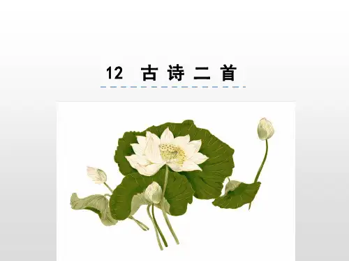 一年级下册语文课件-课文12 古诗二首  人教(部编版) (共33张PPT)
