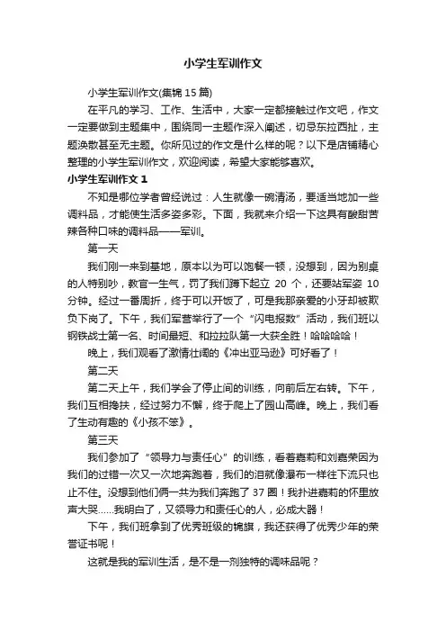 小学生军训作文