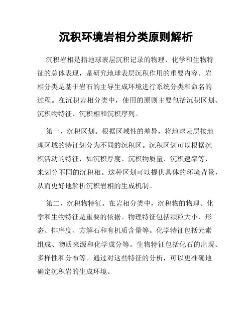 沉积环境岩相分类原则解析