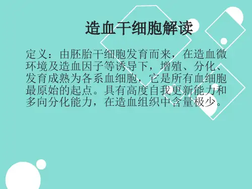造血干细胞解读