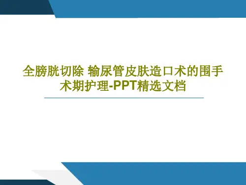 全膀胱切除 输尿管皮肤造口术的围手术期护理-PPT精选文档PPT文档共49页
