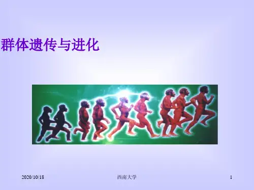 14群体遗传与进化