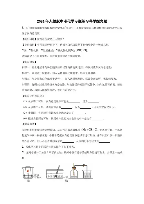2024年人教版中考化学专题练习科学探究题