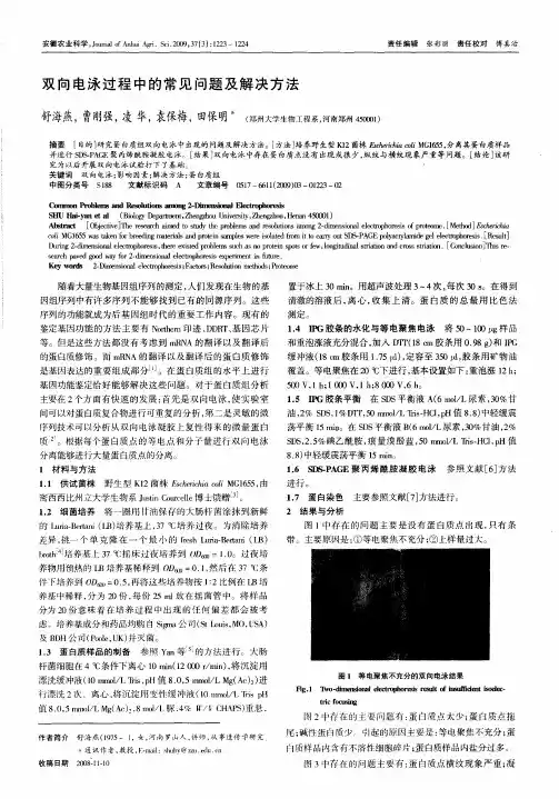 双向电泳过程中的常见问题及解决方法