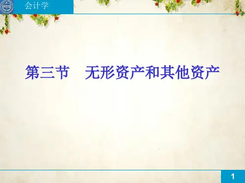 无形资产和其他资产简介(ppt 60页)