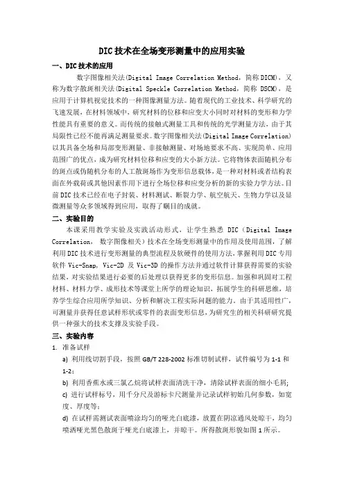 DIC实验报告范例