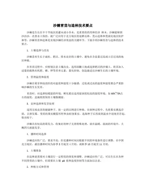 沙棘育苗与造林技术要点