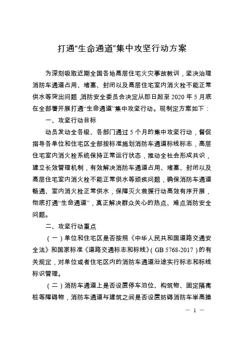 打通“生命通道”集中攻坚行动方案