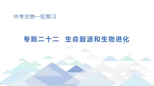 初中生物中考总复习课件：专题22 生命起源和生物进化