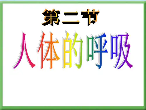人体的呼吸PPT课件(初中科学)