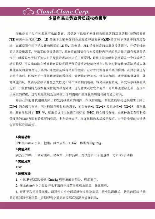 小鼠卵巢去势致骨质疏松症模型