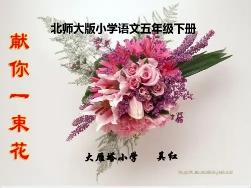 北师大版小学五年级下册语文《献你一束花》课件PPT   大赛获奖精美课件PPT