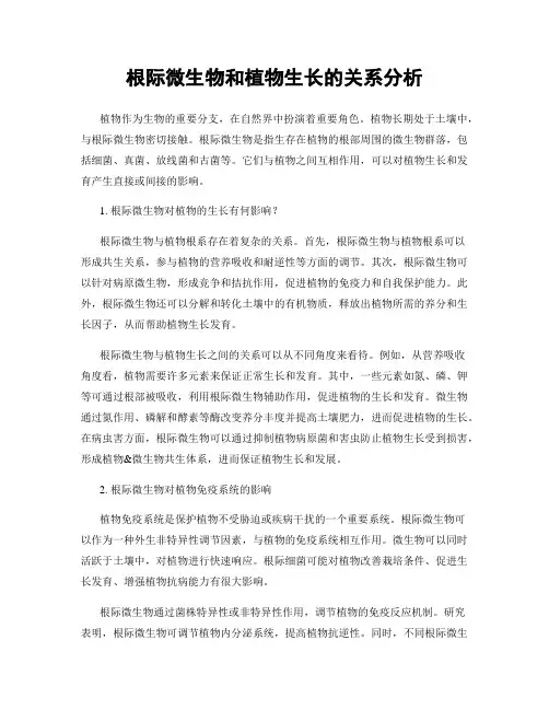 根际微生物和植物生长的关系分析