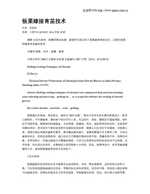 板栗嫁接育苗技术