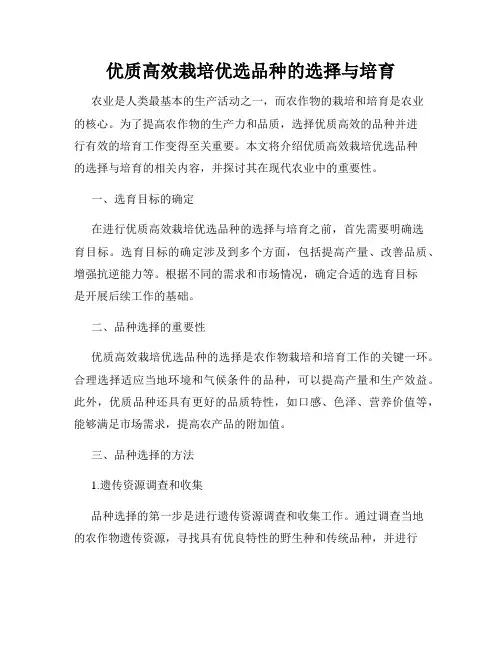 优质高效栽培优选品种的选择与培育