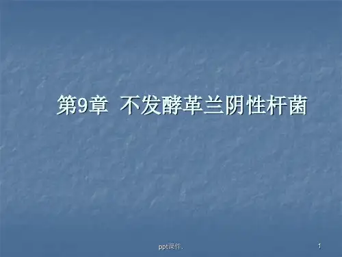 不发酵革兰阴性杆菌ppt课件