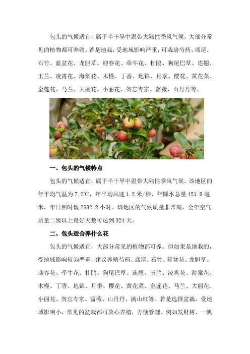 包头适合养什么花,市花和市树是什么