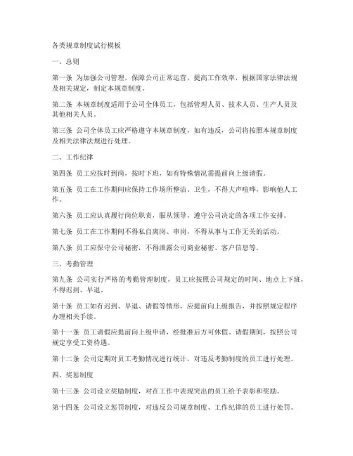 各类规章制度试行模板