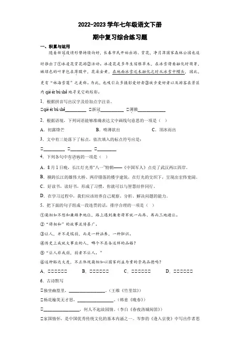 期中复习综合练习题2022-2023学年部编版语文七年级下册