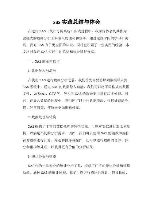 sas实践总结与体会