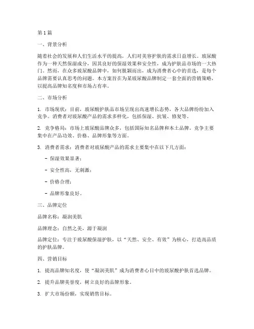 玻尿酸品牌营销方案策划(3篇)