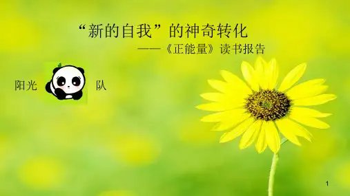 正能量读书报告(护士)PPT幻灯片