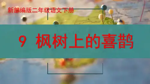 《枫树上的喜鹊》ppt课件
