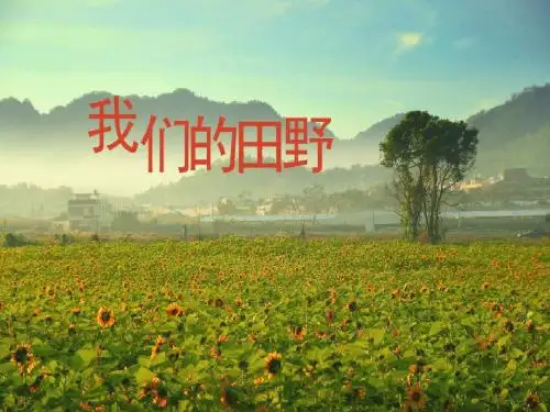 人教版音乐四上《我们的田野》PPT课件(17页)
