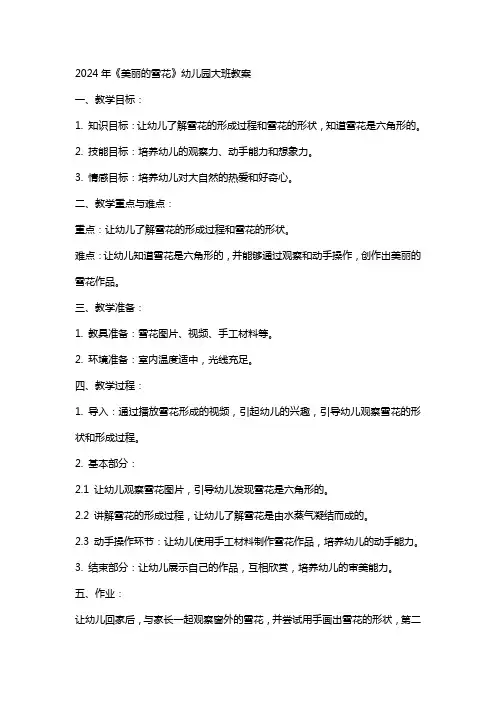 2024年《美丽的雪花》幼儿园大班教案