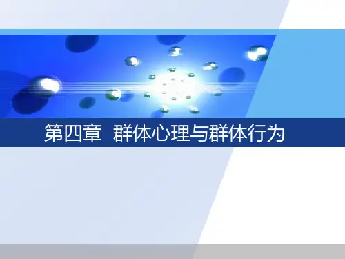 组织行为学教学课件第四章群体心理与群体行为